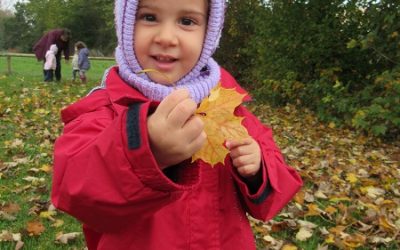 Der Herbst ist da! Unsere Aktionen in der Kinderkrippe: