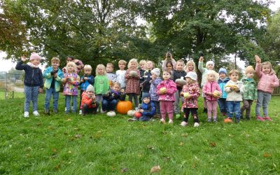 Herbstimpressionen und Blätterzauber